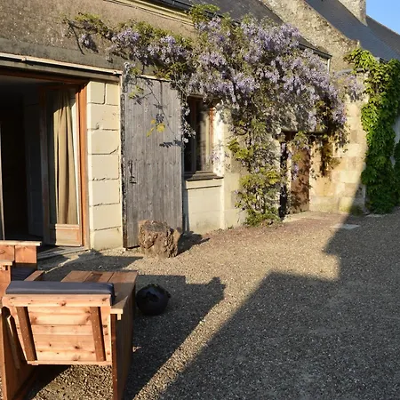 Zélie * Ambillou-Château